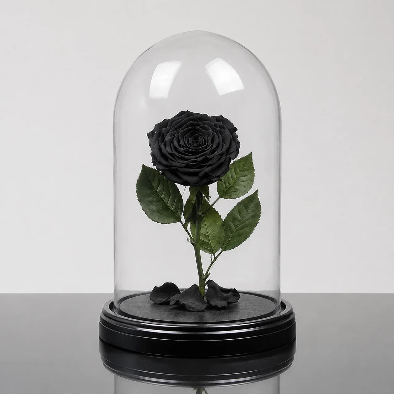 Forever Rose — Black / Round